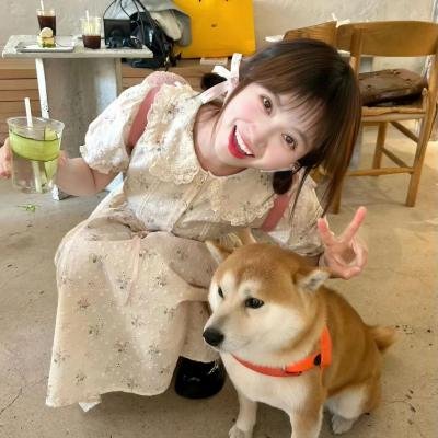 华灯艳曲